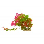 ΔΙΑΚΟΣΜΗΤΙΚΟ ΦΥΤΟ ΕΝΥΔΡΕΙΟΥ 30Χ8CM